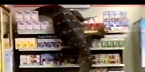 Giant Lizard destroys supermarket in Thailand